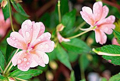 《前线任务：重制版》实机预告片第二弹公布